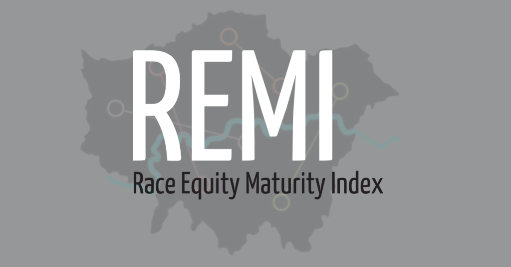 REMI Race Equity Maturity Index